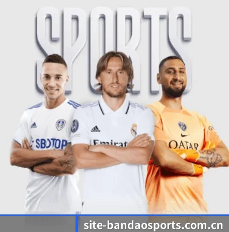 五大服务分区,信息按项目分类 - Bandao